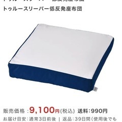 新品 ＊ トゥルースリーパー 低反発座布団の画像