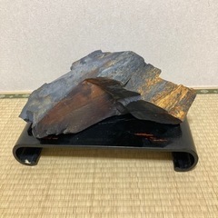 鑑賞石（珪化石？）11.5kg
