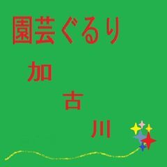 １０月８日　余剰苗、種、園芸資材　お願いします。