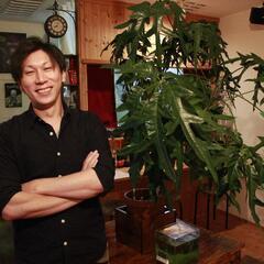 畜産と米の兼業農家さん向けのご提案です(稲木への稲掛け)