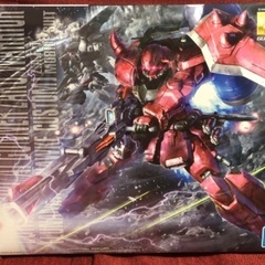 MG ガナーザクウォーリア（ルナマリア・ホーク専用機）