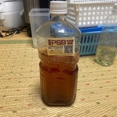 psb原液　メダカ