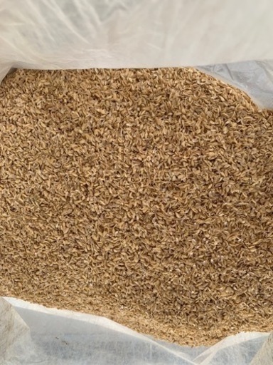 籾殻 50袋一括 10月初旬渡し