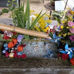 神社・仏閣巡り・紅葉散策・グルメを楽しもう☆ - メンバー募集