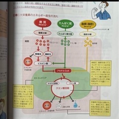 【決まりました】スポーツフードアドバイザー資格　受講資料セットの画像