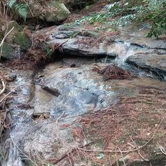小川と舗装道路に面した　約5000平米。