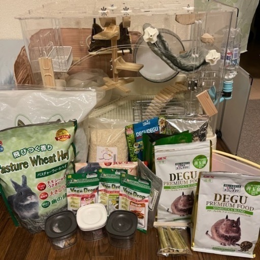 デグー飼育セット