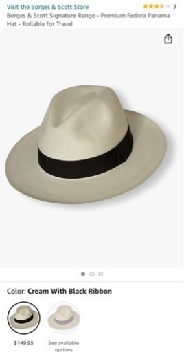 Borges & scott帽子