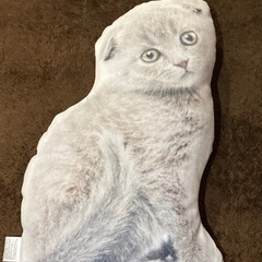 【お渡し済】　　
クッション ネコちゃん　無料の画像