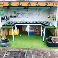 里山めだか無人販売所　9月20日　出店