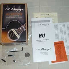 Ibanez Artwood・L.R.BAGGS M-1 Active・LINE6アンプ・ハードケース・シールド付きの画像