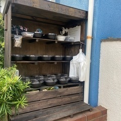 彦めだか無人販売　9月20日出品分です。の画像