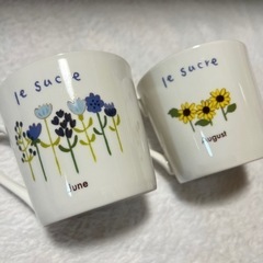 【お話中】ルシュクル カップ コップの画像