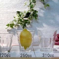 デュラレックス ピカルディ 250ml グラス コップの画像