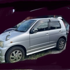 人気沸騰中、テリオスキッドの画像