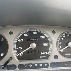 人気沸騰中、テリオスキッドの画像