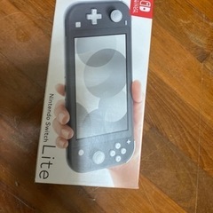 任天堂　Switch light グレーとモンスターハンターRISE