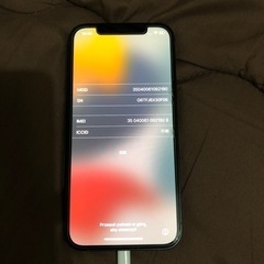 iPhone12 256GB ブルー