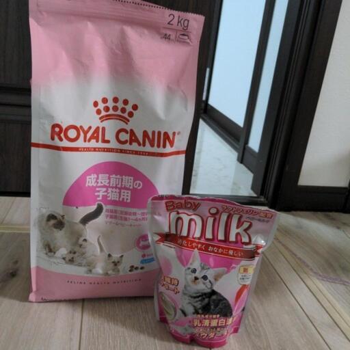 【子猫　粉ミルクとロイヤルカナン前期の子猫用約1キロ　おまけ付き】