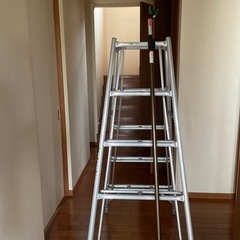アルミ脚立と高枝切り鋏