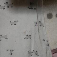 サイズ80⭐お洋服セットの画像