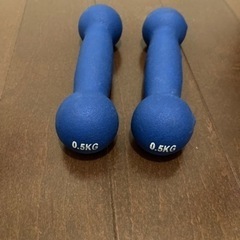 ダンベル0.5kg×2