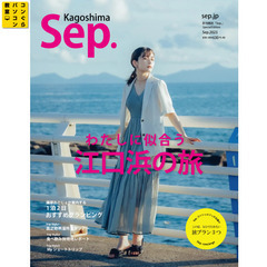 個別指導『最新illustrator 2025 AIイラストレーター + 実践作品』最新AI編集対応！120分18回 イラレ AdobeExpress対応 の画像