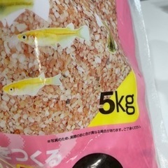 テトラ水槽　フィルター　メダカの底砂　新品の画像