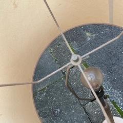 ビンテージ　スタンドライト‼️ 傷みほぼなし！の画像