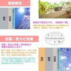 【DIYに】 屋内外 多用途 水性塗料 艶消し シリコンコートの画像
