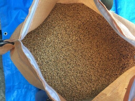 もみ　１俵　ヒノヒカリ　値下げ