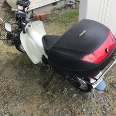 スズキ　バーディ　原付