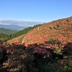 山友募集します