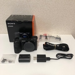 ‪α‬6600 ボディ