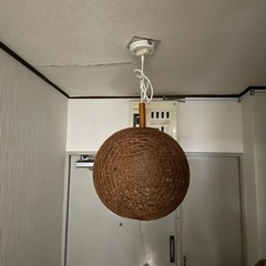 ライト　