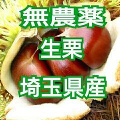 無農薬　生栗　７００ｇ　　NO2