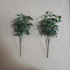 造花しきみ