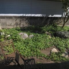 庭の雑草処理と、木を束ねる作業を手伝ってほしいです　１時間のみ２...