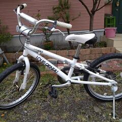 ルイガノ　キッズ　自転車