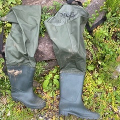 田んぼ、魚釣りの画像