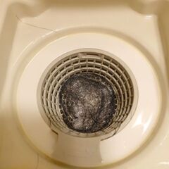 カビ除去はハイハイネットにお任せ。 - 能代市
