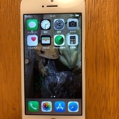 iPhone5S GOLD ジャンク品