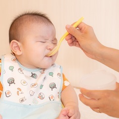 ずぼらママでもかしこく育てる離乳食講座