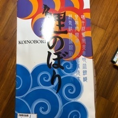 🎏大きな鯉のぼり🎏