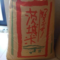 【値下げ】令和3年　茨城県産コシヒカリ玄米　30キロ一袋