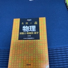 名問の森物理　波動Ⅱ・電磁気・原子