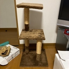 キャットタワー