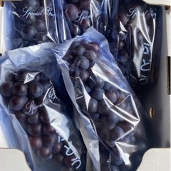 【専用】スチューベン 贈答 1箱(2キロ)引き取り限定価格