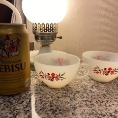 ファイヤーキング　プリムローズ　カップの画像