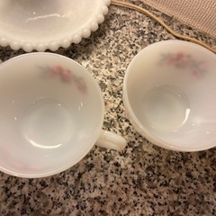 ファイヤーキング　プリムローズ　カップの画像